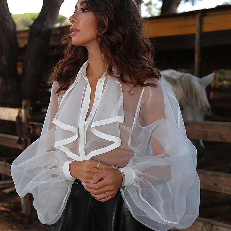 Long Puff Sleeve Sexy See Through Blouse Bodysuit