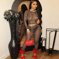 Long Sleeve Leopard Print Mesh Sexy Pants Suit